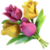 :bouquet: :bouquet:
